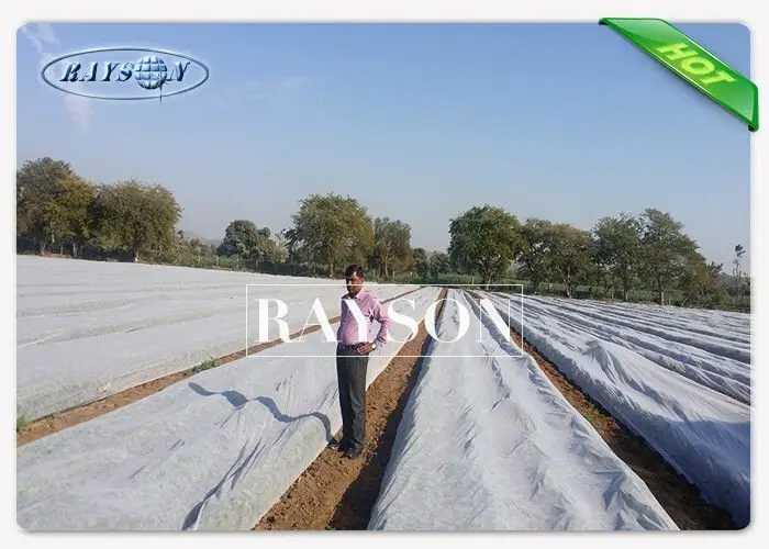 weed control liner test for root control bags Rayson Non Woven Fabric 2