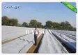 weed control liner test for root control bags Rayson Non Woven Fabric 2