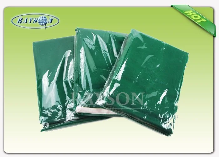 Rayson Non Woven Fabric spun black sheeting for gardens manufacturer for root control bags 2