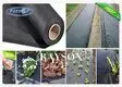 barrier cloth for gardens ppsb for root control bags Rayson Non Woven Fabric 2