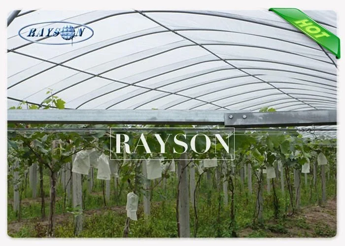 50 gsm UV 3% Polypropylene Frost Protection Fleece , Biodegradable Garden Fleece Bags 4