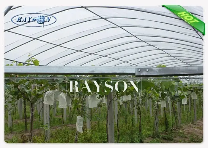 virgin bulk landscape fabric series for root control bags 4