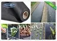 Rayson Non Woven Fabric crop garden fabric liner supplier for ground cover 3