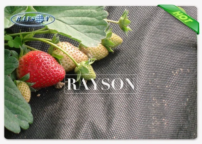 customized landscape netting lowes series for ground cover Rayson Non Woven Fabric 2