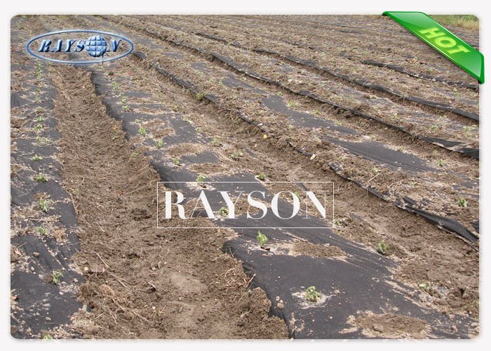 high quality garden fabric lowes wholesale for seed blankets 2