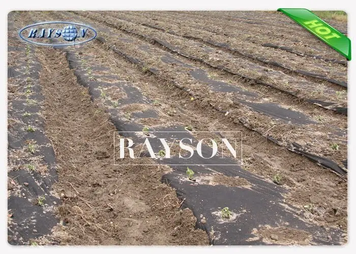 high quality garden fabric lowes wholesale for seed blankets 2