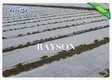 healthy breathable membrane for gardens stabilization for root control bags Rayson Non Woven Fabric 2