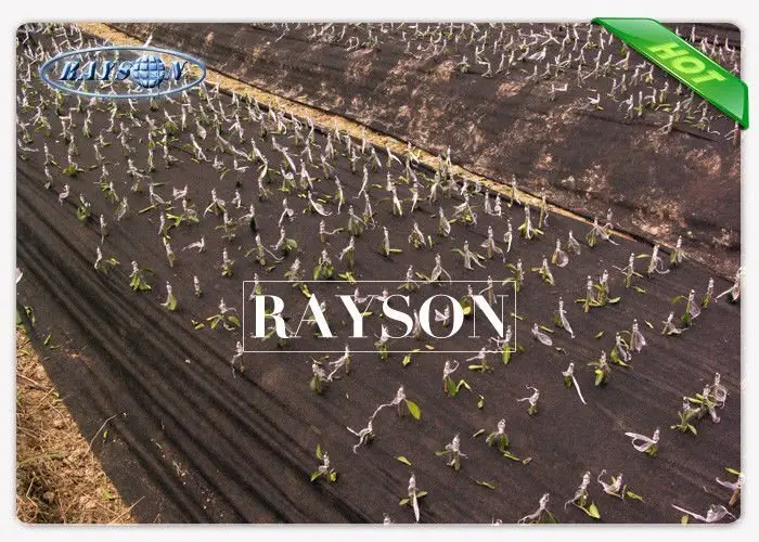healthy breathable membrane for gardens stabilization for root control bags Rayson Non Woven Fabric 3