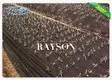 healthy breathable membrane for gardens stabilization for root control bags Rayson Non Woven Fabric 3