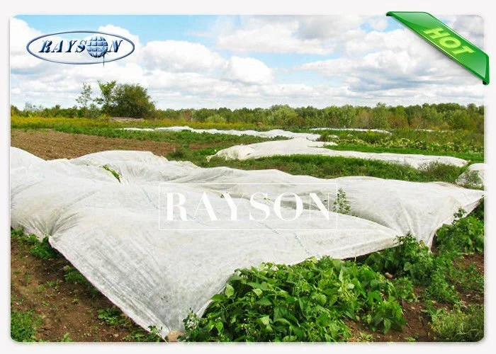 Reinforced Edges Technology Garden Weed Control Fabric Weed Block Fabric For Horticultural Sector 1