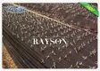 barrier cloth for gardens ppsb for root control bags Rayson Non Woven Fabric 3