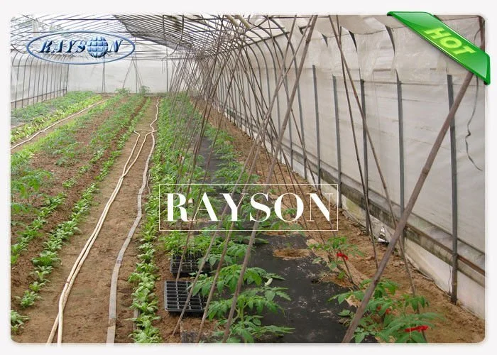 Rayson Non Woven Fabric anti uv mesh landscape tarps supplier for seed blankets 3