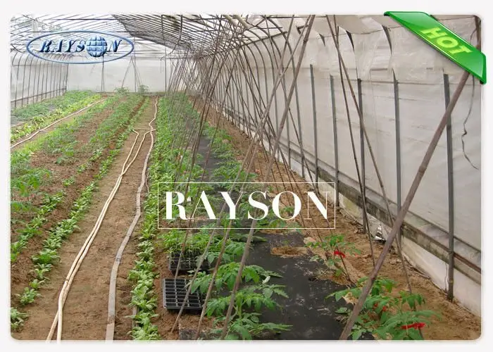 Rayson Non Woven Fabric anti uv mesh landscape tarps supplier for seed blankets 3