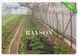 Rayson Non Woven Fabric anti uv mesh landscape tarps supplier for seed blankets 3