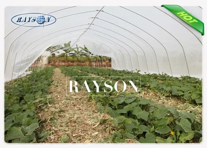 Rayson Non Woven Fabric high density flower garden weed control wholesale for ground cover 2