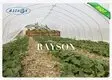 Rayson Non Woven Fabric high density flower garden weed control wholesale for ground cover 2