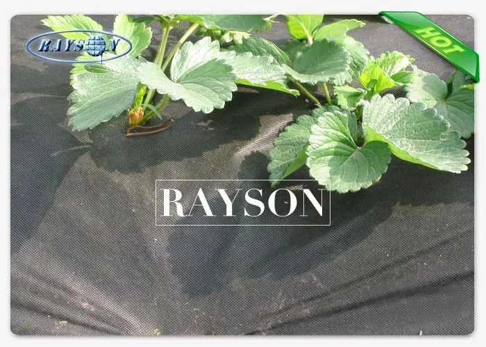 Rayson Non Woven Fabric high density garden weed barrier fabric supplier for root control bags 2