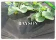 Rayson Non Woven Fabric high density garden weed barrier fabric supplier for root control bags 2