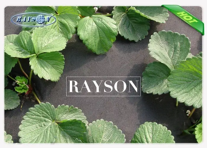 safe black cloth to prevent weeds cover for seed blankets Rayson Non Woven Fabric 3