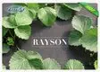 safe black cloth to prevent weeds cover for seed blankets Rayson Non Woven Fabric 3