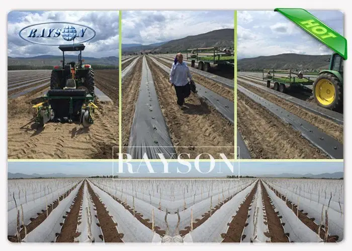 34 gsm UV 3% White Color Polypropylene Frost Protection Fleece Used For Agricultural Crop Cover 2
