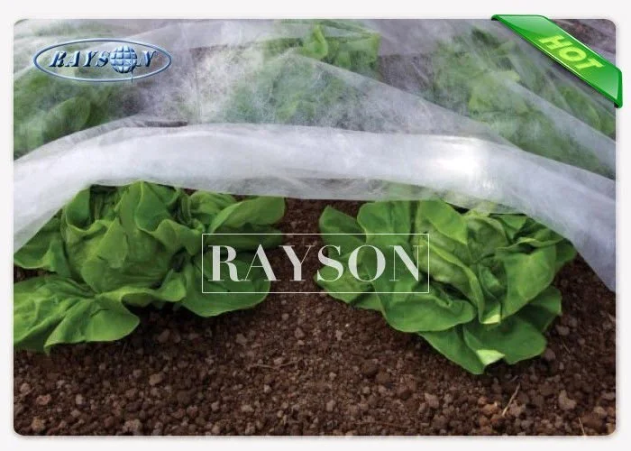 Sunshine Breathable UV  Treatment Landscape Weed Control Fabric for Wind And Snow Protection 1
