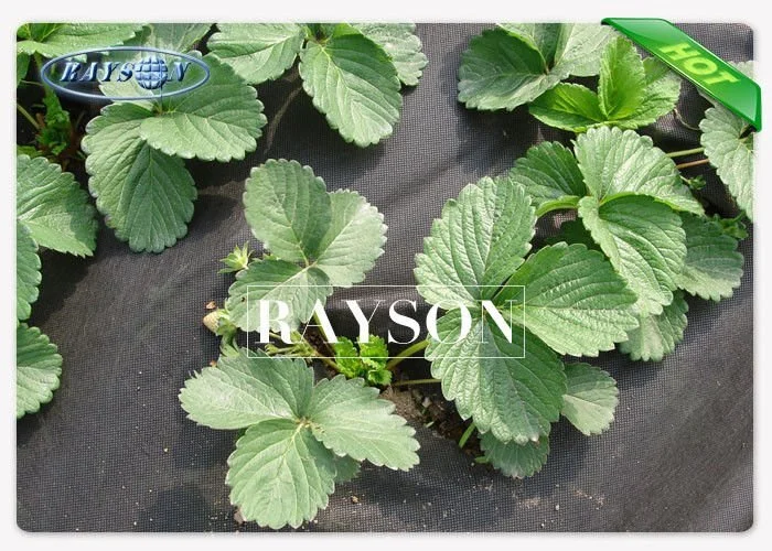 Hight Strength 17gsm 1.6m / 1.8m Width Heavy Duty Weed Control Matting in White Color 1