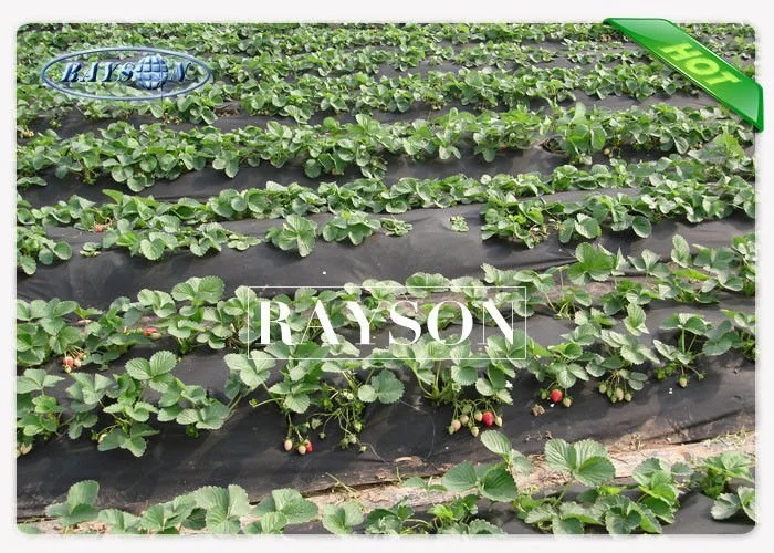 protection landscape cloth lowes manufacturer for root control bags Rayson Non Woven Fabric 2