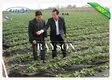 Heat Seal Black Non Woven Cultivating  Bag In PPNW For Grow Seedlings Planting Bags 2