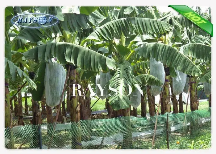 heat sealing fruit plastic bag wholesale for home furnishings 2