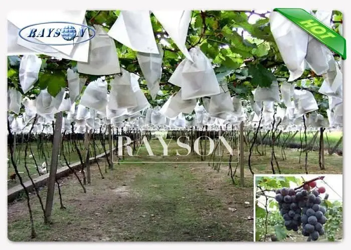 heat sealing fruit plastic bag wholesale for home furnishings 3