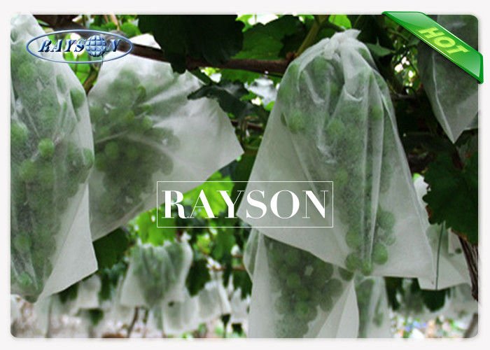 Rayson Non Woven Fabric heat sealing fruit protection bags anti for home furnishings 3