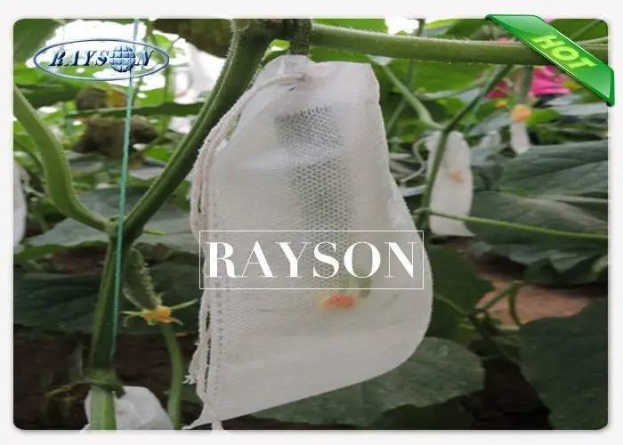 non protection fruit mango for banana Rayson Non Woven Fabric 2