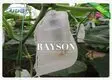 non protection fruit mango for banana Rayson Non Woven Fabric 2