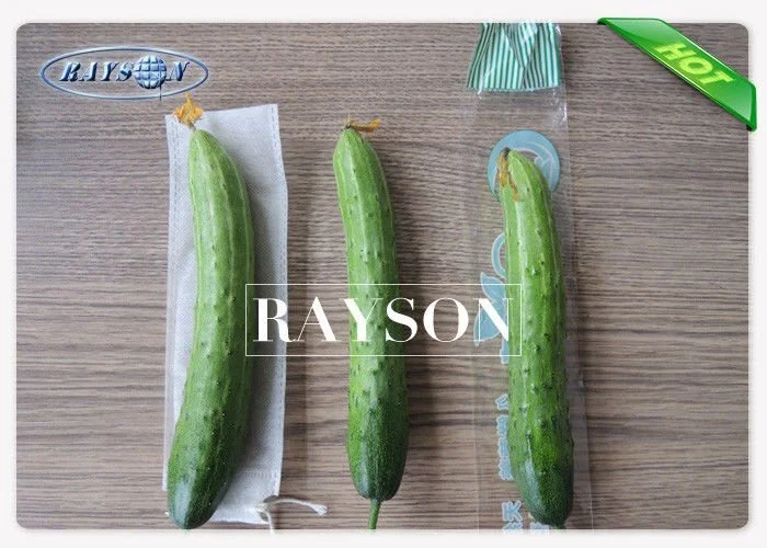 Rayson Non Woven Fabric recyclable fruit fly protection manufacturer for pear and vegetable 3