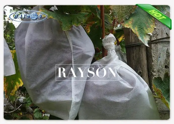 fruit exclusion bags tree for pear and vegetable Rayson Non Woven Fabric 2