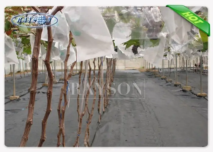 Rayson Non Woven Fabric online fruit cover mesh supplier for home furnishings 2