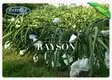 Rayson Non Woven Fabric online fruit cover mesh supplier for home furnishings 3