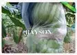 pp mango fruit protection bags supplier for banana 2