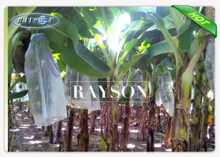pp mango fruit protection bags supplier for banana 3