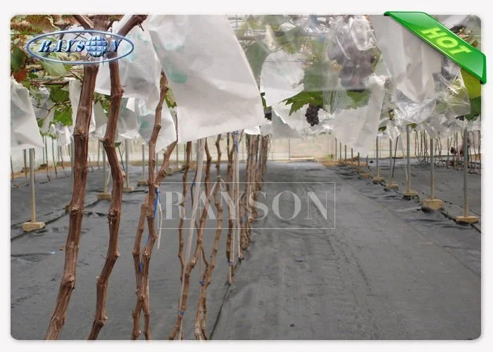 Agriculture Industry Use Non Woven Fruit Protection Bag Keep From Worms Bitting 1