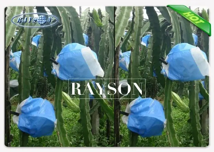 Rayson Non Woven Fabric recyclable fruit fly protection manufacturer for pear and vegetable 2
