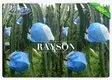 Rayson Non Woven Fabric recyclable fruit fly protection manufacturer for pear and vegetable 2