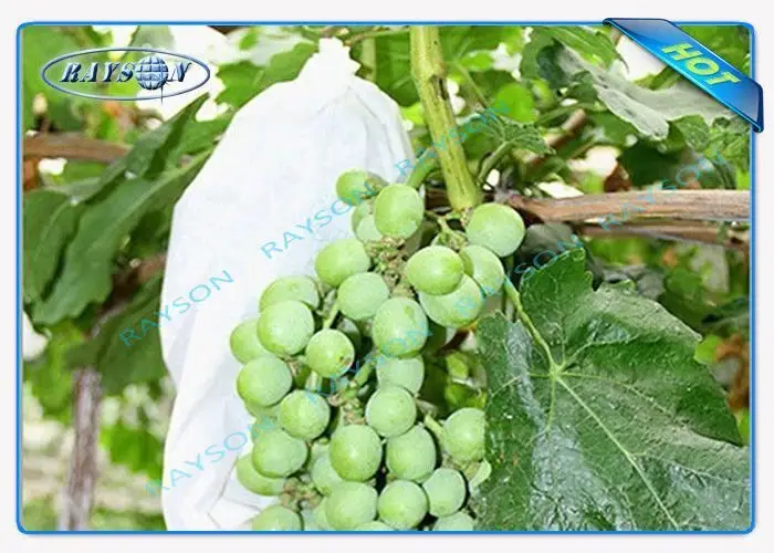 Rayson Non Woven Fabric material fruit fly bags series for home furnishings 3