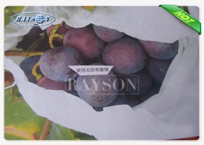 white color bags to protect fruit on trees wholesale for pear and vegetable 2