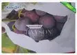 white color bags to protect fruit on trees wholesale for pear and vegetable 2