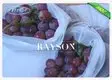 heat sealing apple fruit bags manufacturer for home furnishings 3