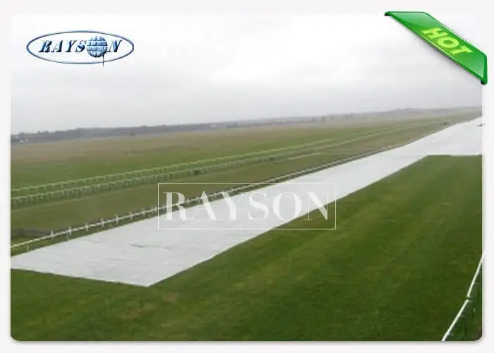 Rayson Non Woven Fabric high quality insulated pots for plants test for weed control 3