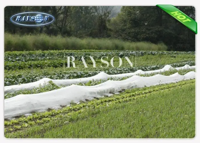 Rayson Non Woven Fabric high quality insulated pots for plants test for weed control 2
