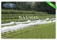Rayson Non Woven Fabric high quality insulated pots for plants test for weed control 2